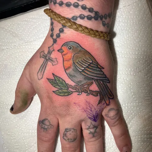 Colour robin on the hand · Jamie